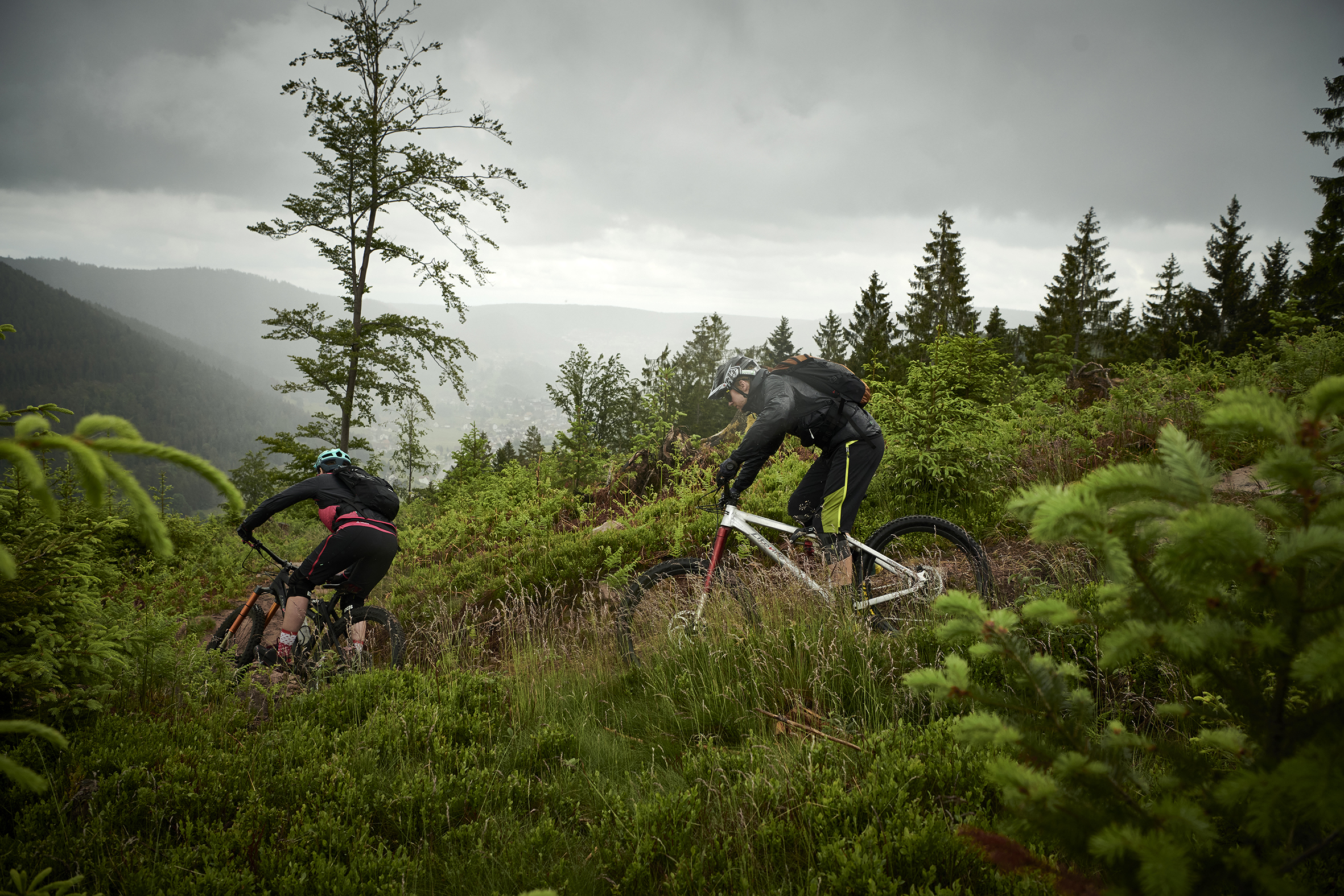 Mountain Biker im Wald bei Nebel Mountain Biker im Wald bei Nebel