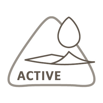 Das Ceplex Active Icon