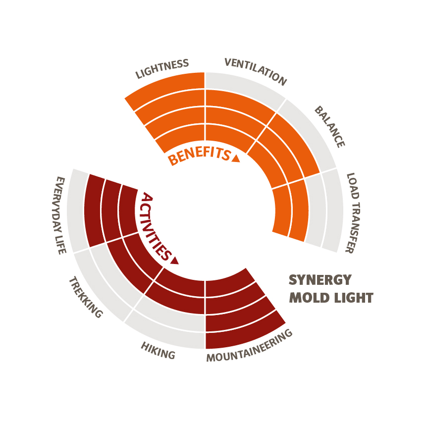 Die Infografik zeigt die Stärken des Synergy Mold Light Tragesystems.