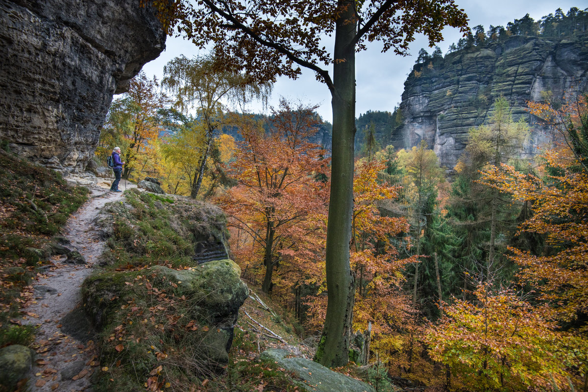 Wanderin auf Bergtrail im Herbst