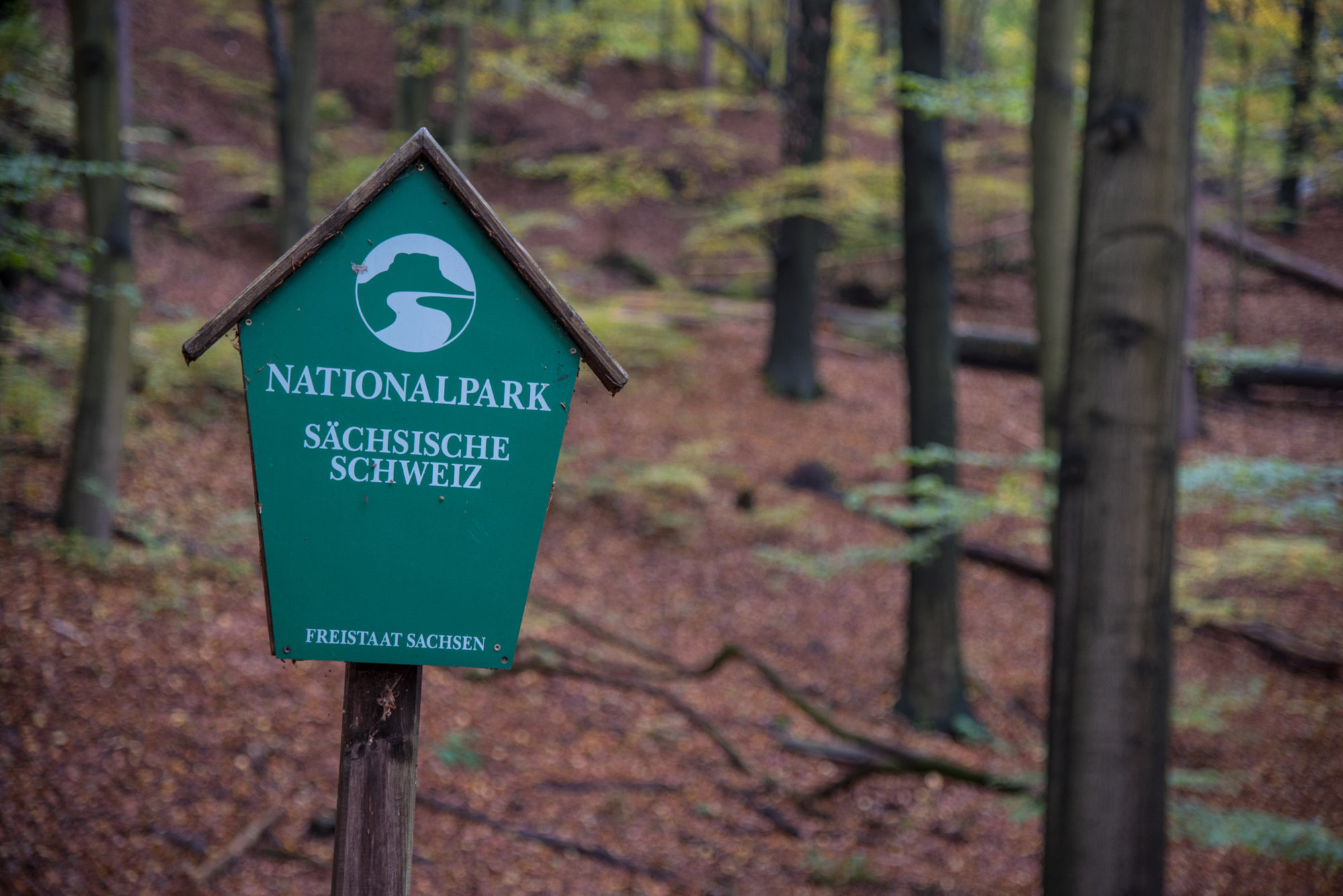 Holzschild mit Aufschrift Nationalpark S&auml;chsische Schweiz im Wald
